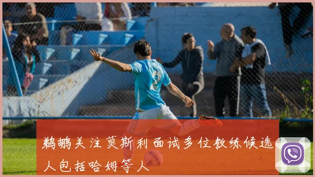 鹈鹕关注莫斯利面试多位教练候选人包括哈姆等人
